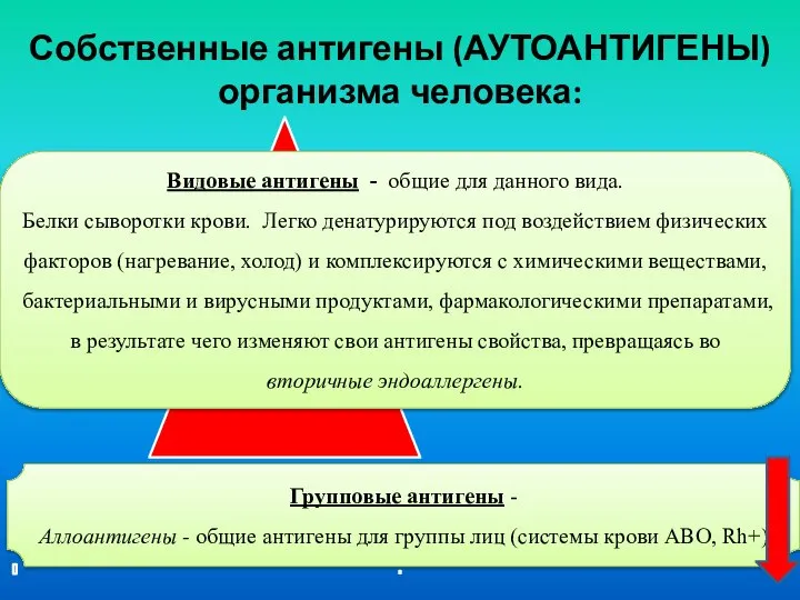 Собственные антигены (АУТОАНТИГЕНЫ) организма человека: