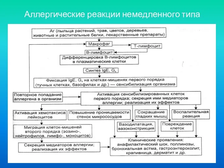 Аллергические реакции немедленного типа