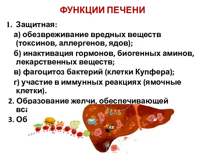 ФУНКЦИИ ПЕЧЕНИ Защитная: а) обезвреживание вредных веществ (токсинов, аллергенов, ядов); б)