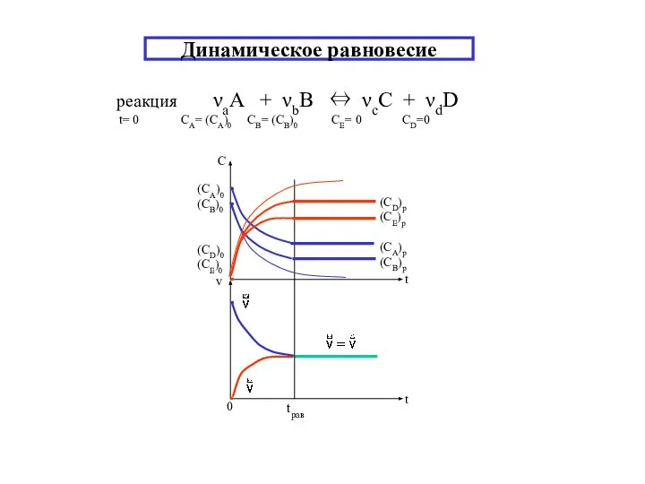 Динамическое равновесие реакция νаA + νbB ⇔ νсC + νdD t=