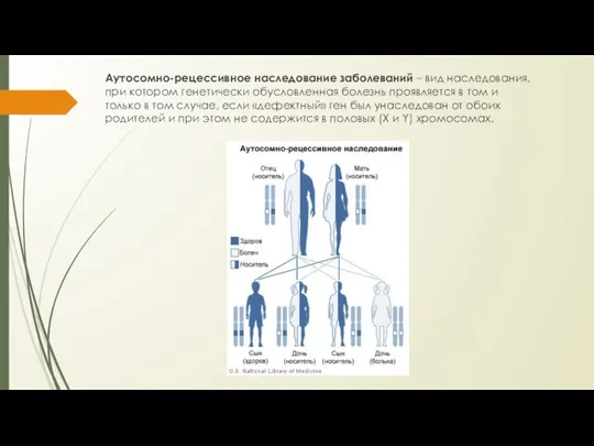 Аутосомно-рецессивное наследование заболеваний – вид наследования, при котором генетически обусловленная болезнь