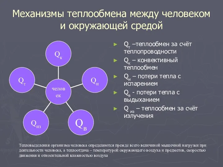 Механизмы теплообмена между человеком и окружающей средой Qт –теплообмен за счёт