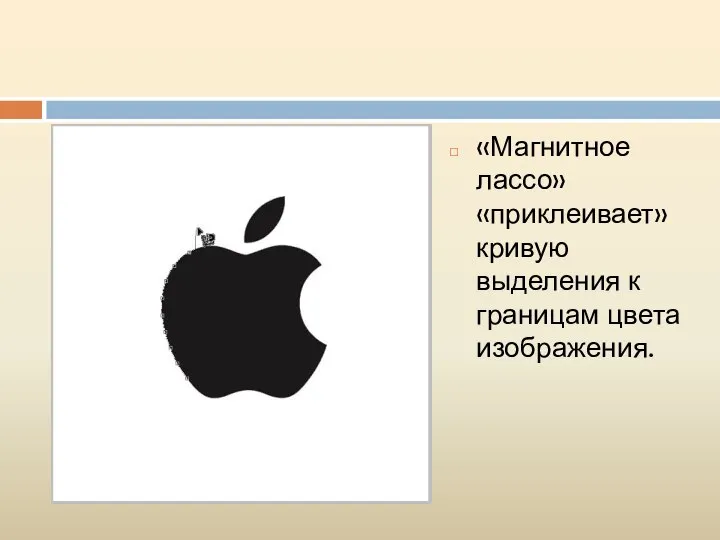 «Магнитное лассо» «приклеивает» кривую выделения к границам цвета изображения.