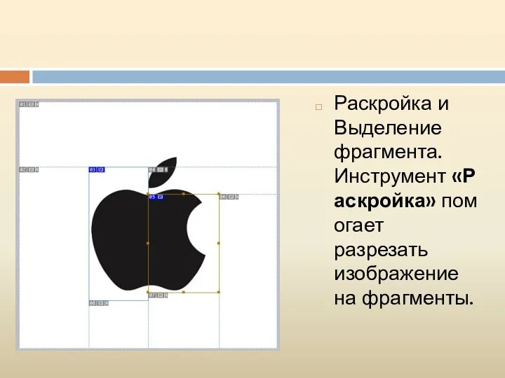 Раскройка и Выделение фрагмента. Инструмент «Раскройка» помогает разрезать изображение на фрагменты.