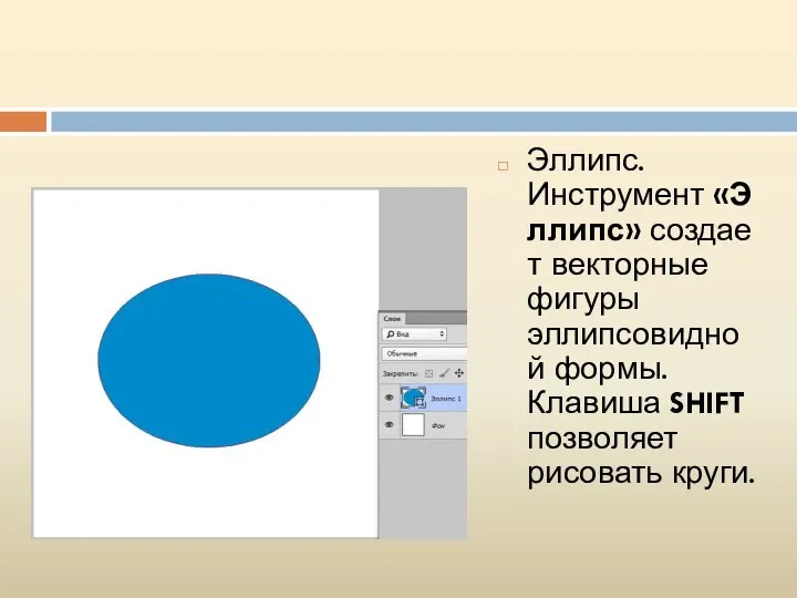 Эллипс. Инструмент «Эллипс» создает векторные фигуры эллипсовидной формы. Клавиша SHIFT позволяет рисовать круги.