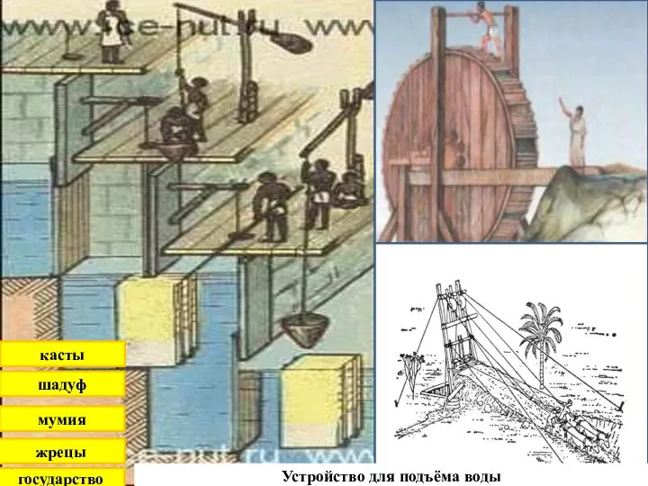 государство жрецы мумия шадуф касты Устройство для подъёма воды