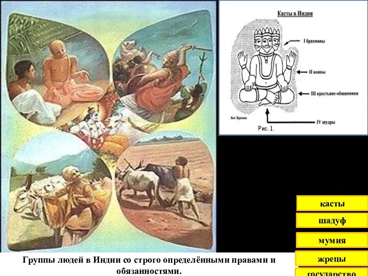Группы людей в Индии со строго определёнными правами и обязанностями. государство жрецы мумия шадуф касты
