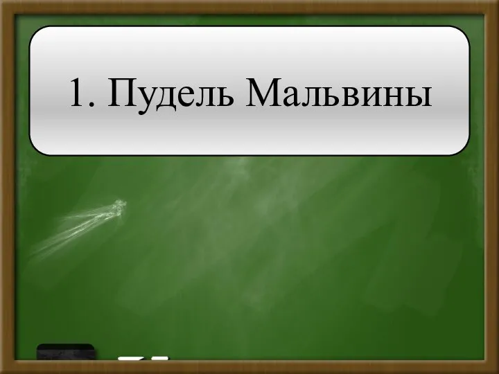 1. Пудель Мальвины