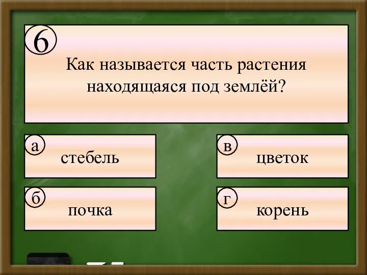 Как называется часть растения находящаяся под землёй? стебель цветок почка корень а б в г 6