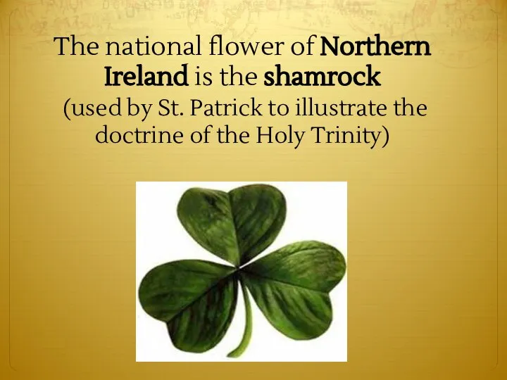 The national flower of Northern Ireland is the shamrock (used by