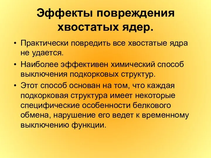 Эффекты повреждения хвостатых ядер. Практически повредить все хвостатые ядра не удается.