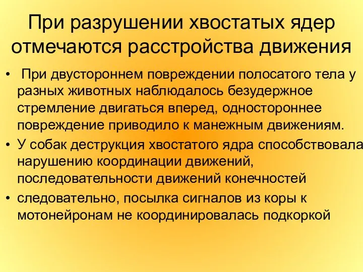 При разрушении хвостатых ядер отмечаются расстройства движения При двустороннем повреждении полосатого