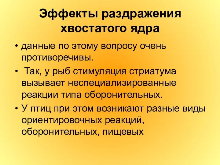 Эффекты раздражения хвостатого ядра данные по этому вопросу очень противоречивы. Так,