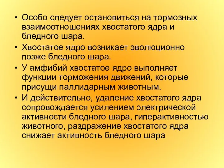 Особо следует остановиться на тормозных взаимоотношениях хвостатого ядра и бледного шара.