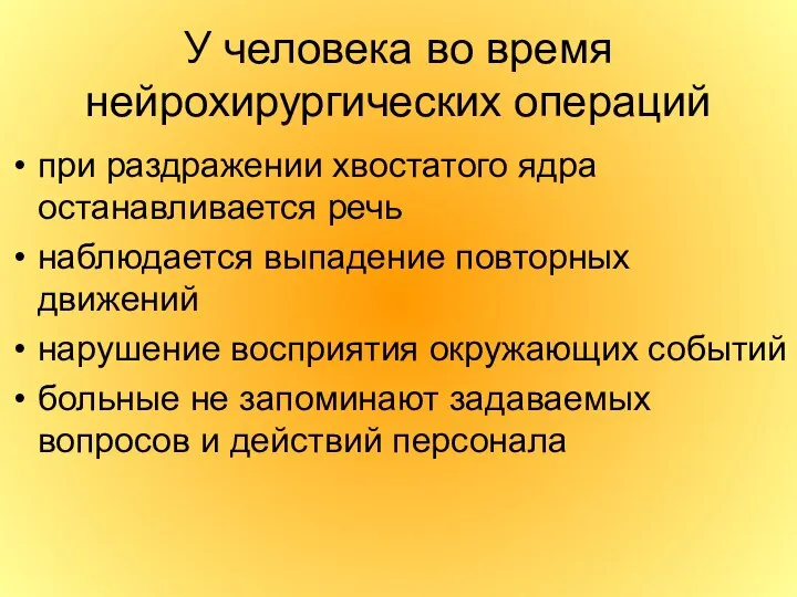 У человека во время нейрохирургических операций при раздражении хвостатого ядра останавливается