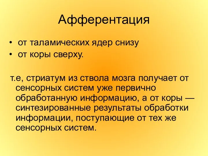 Афферентация от таламических ядер снизу от коры сверху. т.е, стриатум из