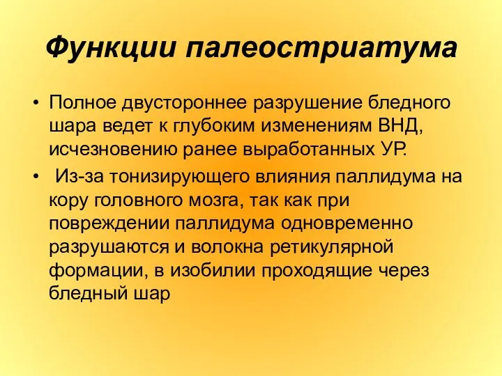 Функции палеостриатума Полное двустороннее разрушение бледного шара ведет к глубоким изменениям