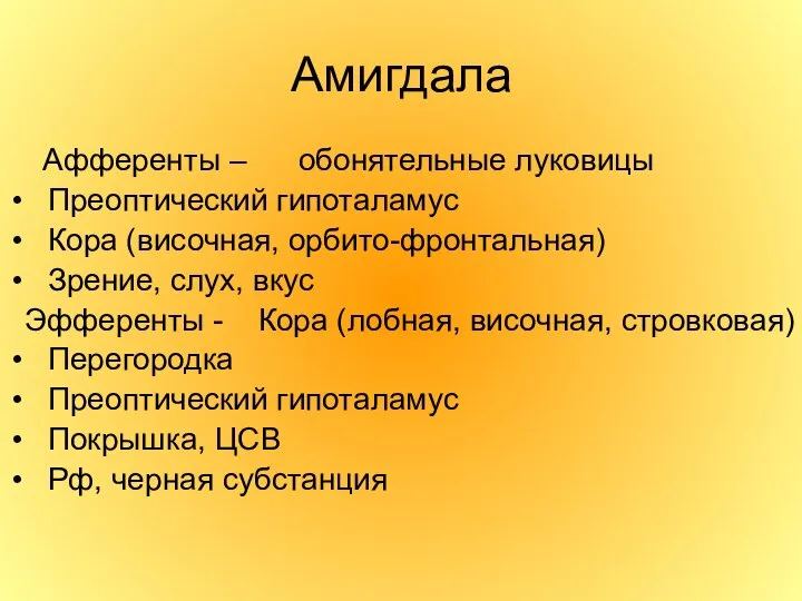 Амигдала Афференты – обонятельные луковицы Преоптический гипоталамус Кора (височная, орбито-фронтальная) Зрение,