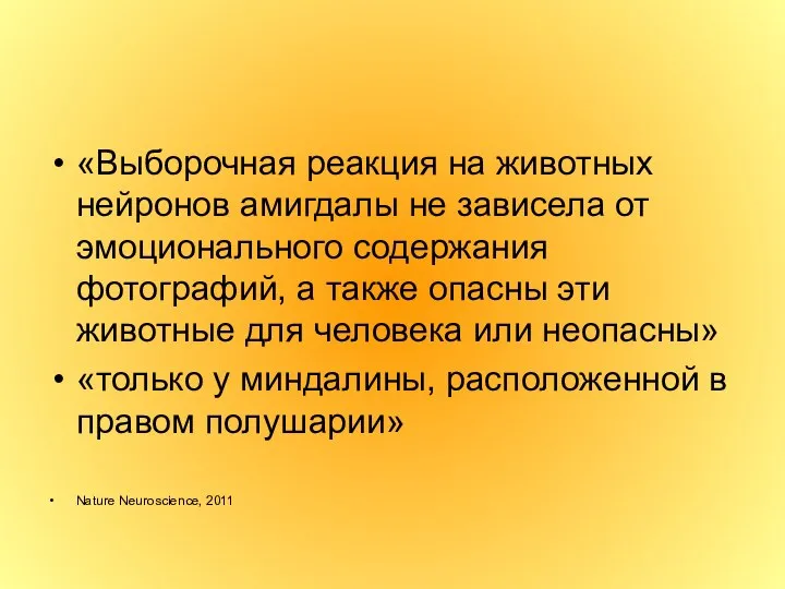 «Выборочная реакция на животных нейронов амигдалы не зависела от эмоционального содержания