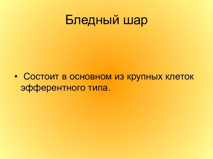 Бледный шар Состоит в основном из крупных клеток эфферентного типа.