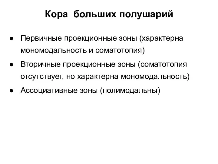 Кора больших полушарий Первичные проекционные зоны (характерна мономодальность и соматотопия) Вторичные