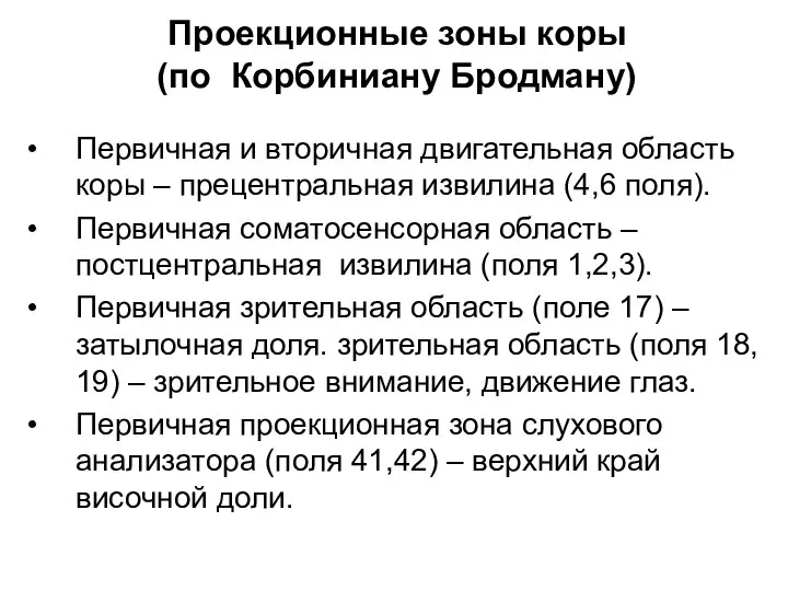 Проекционные зоны коры (по Корбиниану Бродману) Первичная и вторичная двигательная область