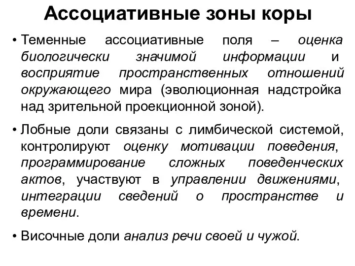 Ассоциативные зоны коры Теменные ассоциативные поля – оценка биологически значимой информации