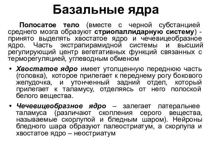 Базальные ядра Полосатое тело (вместе с черной субстанцией среднего мозга образуют