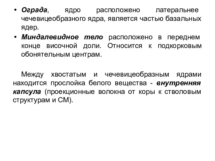 Ограда, ядро расположено латеральнее чечевицеобразного ядра, является частью базальных ядер. Миндалевидное