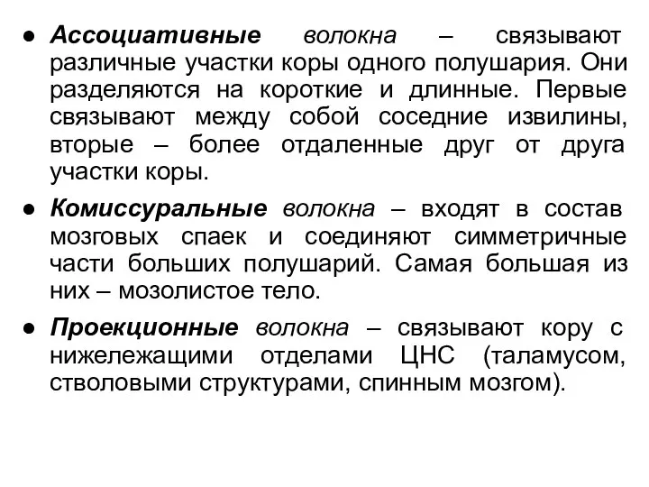 Ассоциативные волокна – связывают различные участки коры одного полушария. Они разделяются