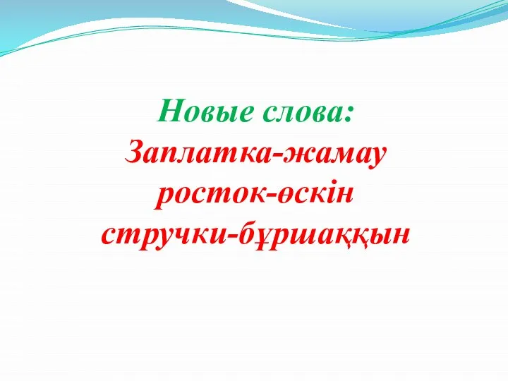 Новые слова: Заплатка-жамау росток-өскін стручки-бұршаққын