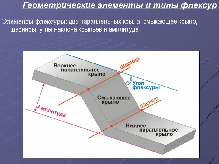 Геометрические элементы и типы флексур Элементы флексуры: два параллельных крыла, смыкающее