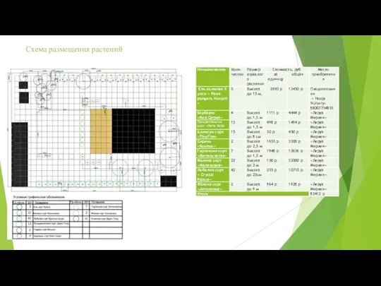 Схема размещения растений