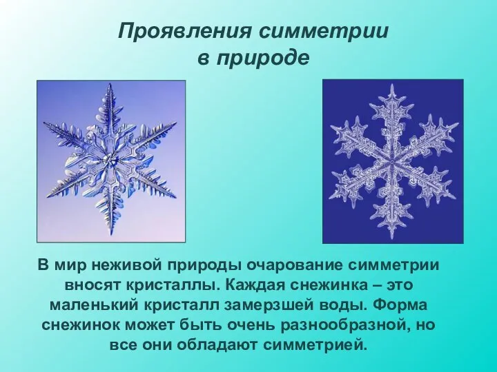 Проявления симметрии в природе В мир неживой природы очарование симметрии вносят