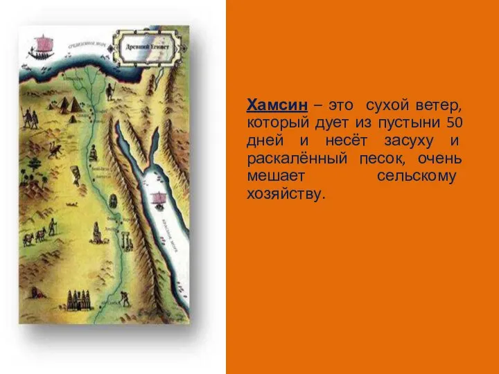 Хамсин – это сухой ветер, который дует из пустыни 50 дней