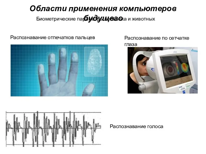 Распознавание отпечатков пальцев Биометрические параметры человека и животных Распознавание голоса Области