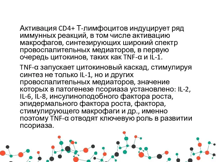 Активация CD4+ Т-лимфоцитов индуцирует ряд иммунных реакций, в том числе активацию