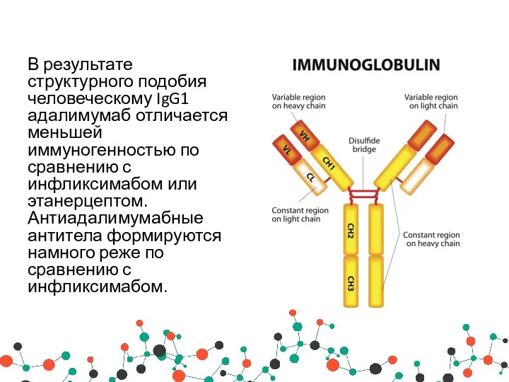 В результате структурного подобия человеческому IgG1 адалимумаб отличается меньшей иммуногенностью по