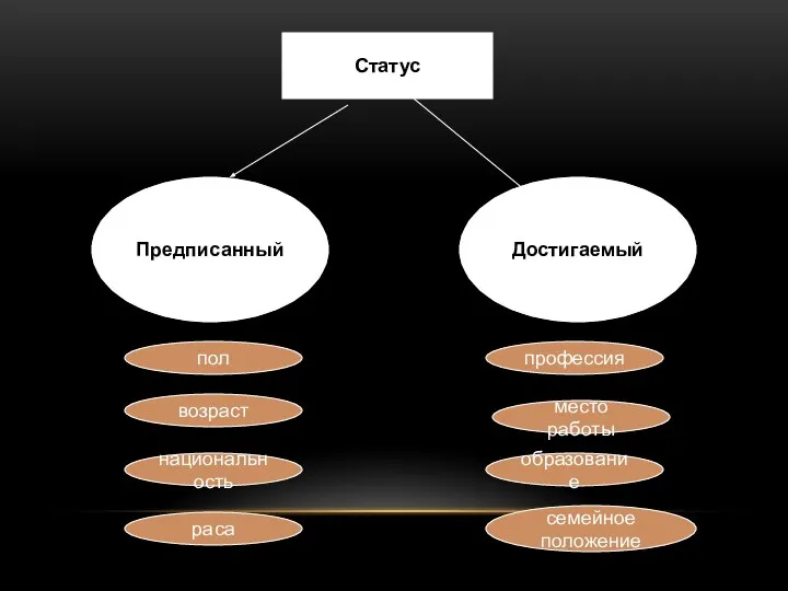 Статус Предписанный Достигаемый пол возраст национальность раса образование место работы профессия семейное положение