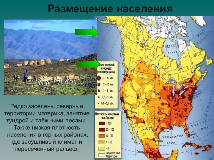 Размещение населения Редко заселены северные территории материка, занятые тундрой и таёжными