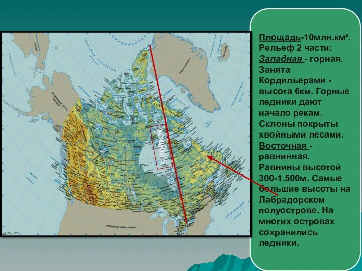 Площадь-10млн.км². Рельеф 2 части: Западная - горная. Занята Кордильерами -высота 6км.