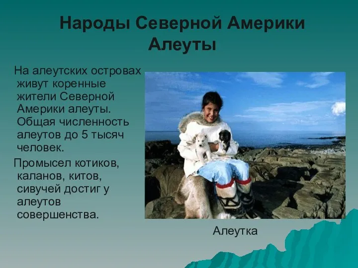 Народы Северной Америки Алеуты На алеутских островах живут коренные жители Северной