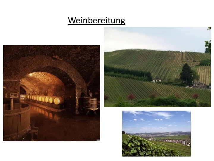 Weinbereitung