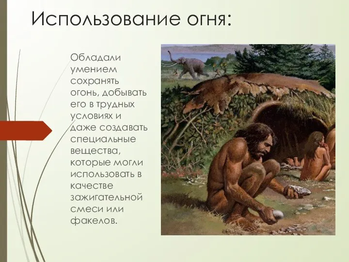 Использование огня: Обладали умением сохранять огонь, добывать его в трудных условиях