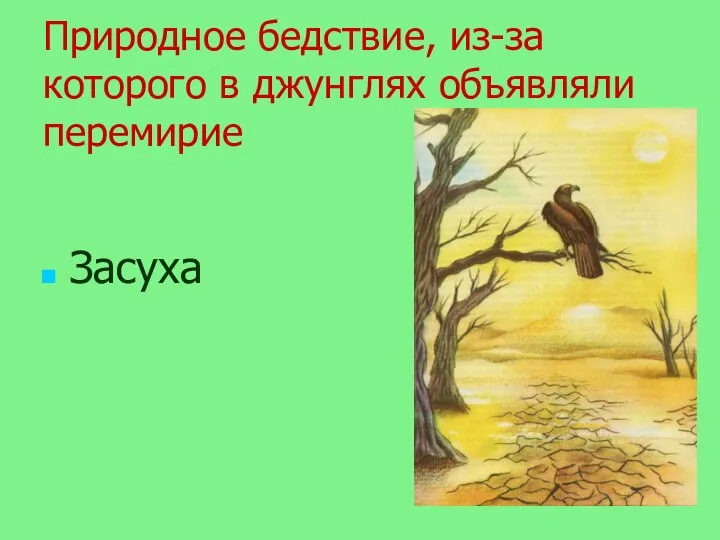 Природное бедствие, из-за которого в джунглях объявляли перемирие Засуха