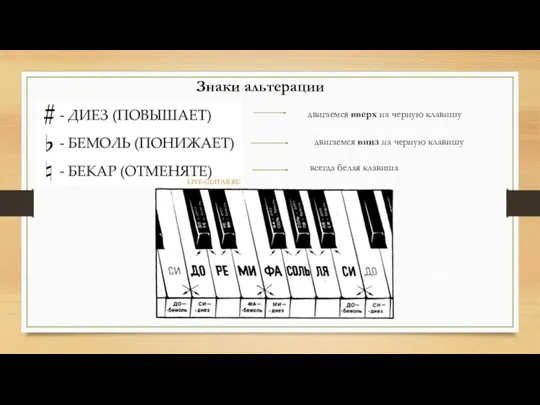 Знаки альтерации двигаемся вверх на черную клавишу двигаемся вниз на черную клавишу всегда белая клавиша