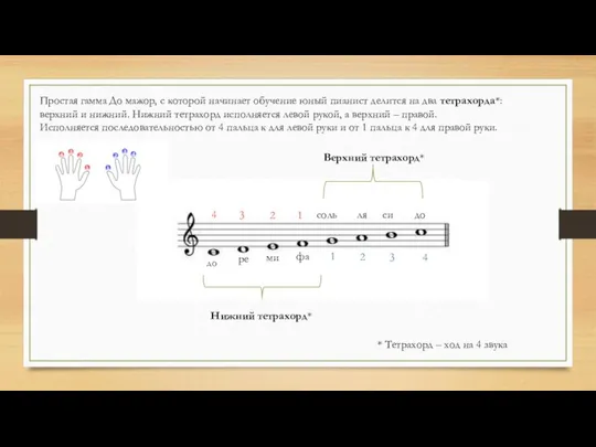до ре ми фа соль ля си до Нижний тетрахорд* Верхний