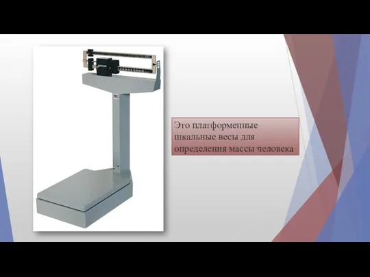 Это платформенные шкальные весы для определения массы человека