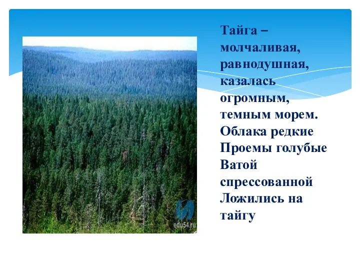 Тайга –молчаливая, равнодушная, казалась огромным, темным морем. Облака редкие Проемы голубые Ватой спрессованной Ложились на тайгу