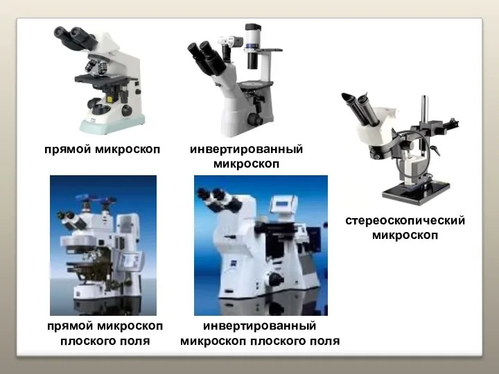 прямой микроскоп инвертированный микроскоп прямой микроскоп плоского поля инвертированный микроскоп плоского поля стереоскопический микроскоп